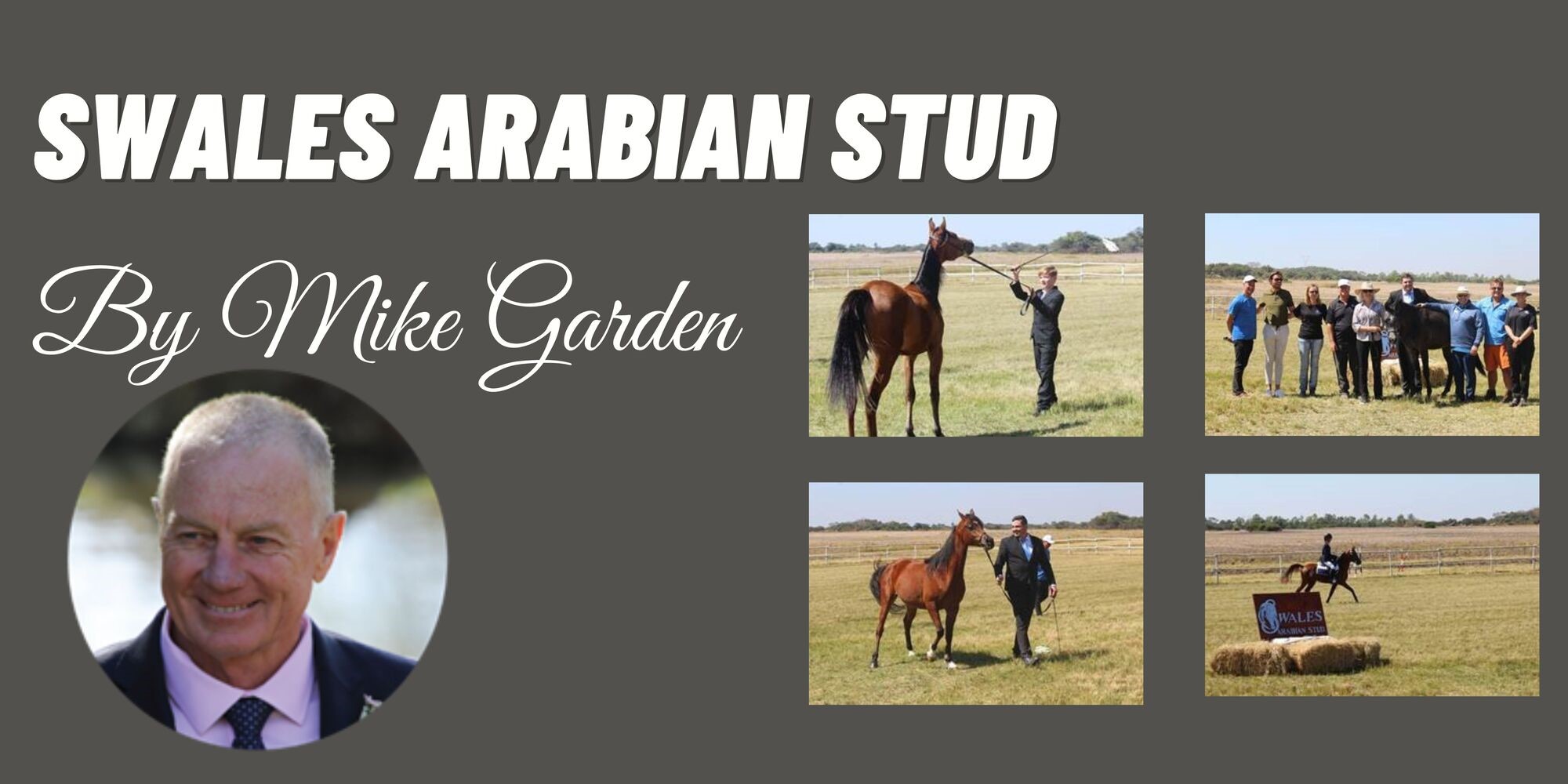 SWALES-ARABIAN-STUD