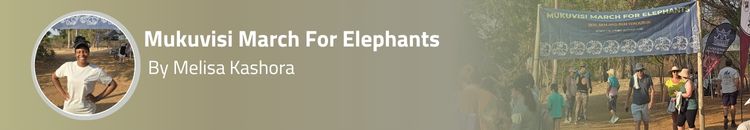 6908f87b6ab0e77433428fc4 (1)