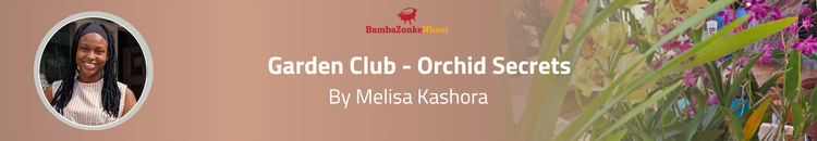 Garden-Club-Orchid